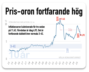 oron för inflationen fortsatt hög