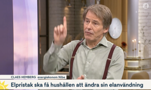 elpristak gynnar hushåll