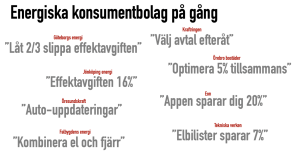 Elbolagen prövar många olika vägar