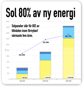 solelen växer mest