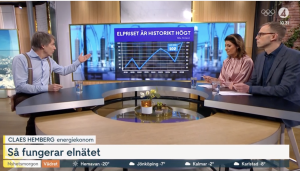 elen i januari blev rekorddyr