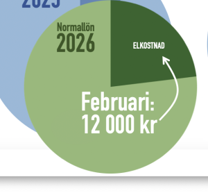 elskatten kostar på