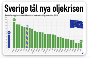 73 proc eldriven ekonomi