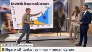 krockkudde i koldioxidskatt dämpar bensinpris
