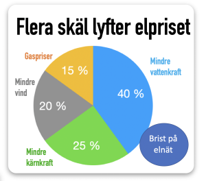 flera skäl till dyr el