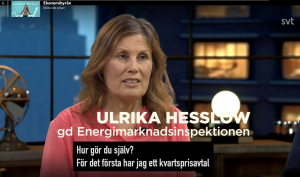 GD Ulrika Hesslow har kvartspris Energimarknadsinspektionen EI