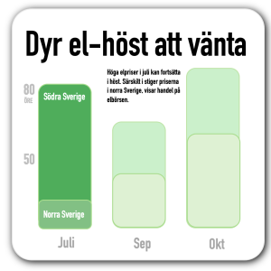 elpriser i höst kan fortsätta att vara dyra