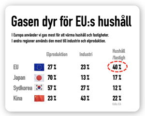 gasen är dyr för Europas hushåll