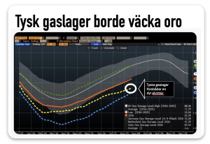 Tyska gaslager borde väcka oro i södra Sverige