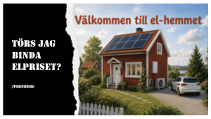 Törs jag binda elpriset