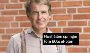 Hushållen springer före EU:s elplan